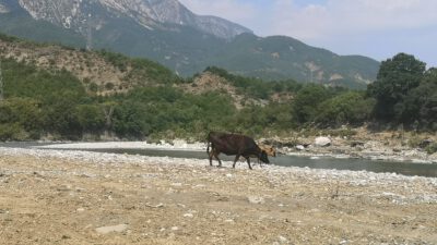 009-Happy End in Albanien